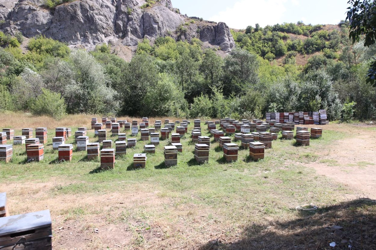 BAŞKAN GÜLER’DEN ARICILARA VARROA İLACI DESTEĞİ MÜJDESİ
