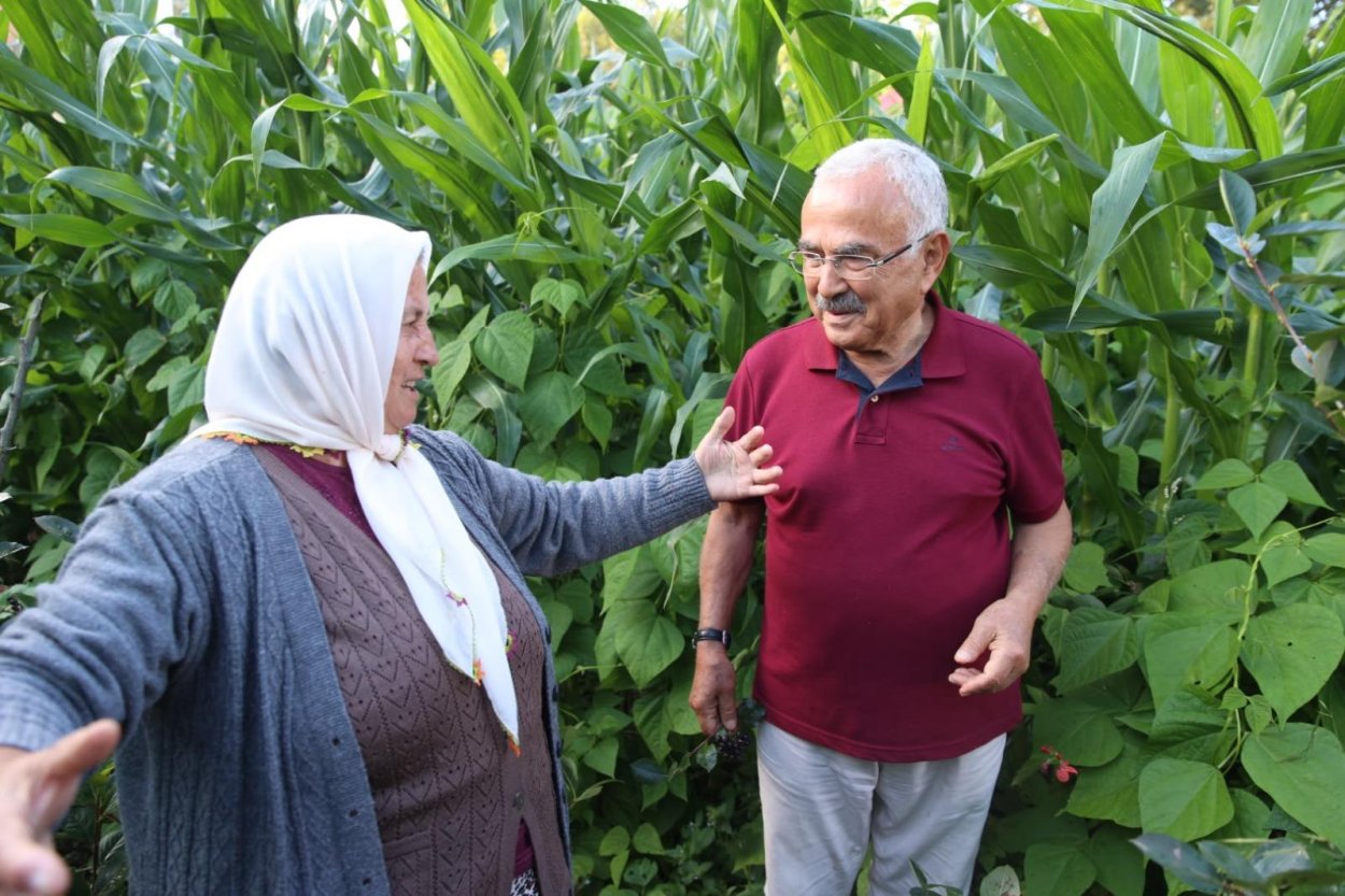 KÜÇÜK ALANDA YÜKSEK GELİR