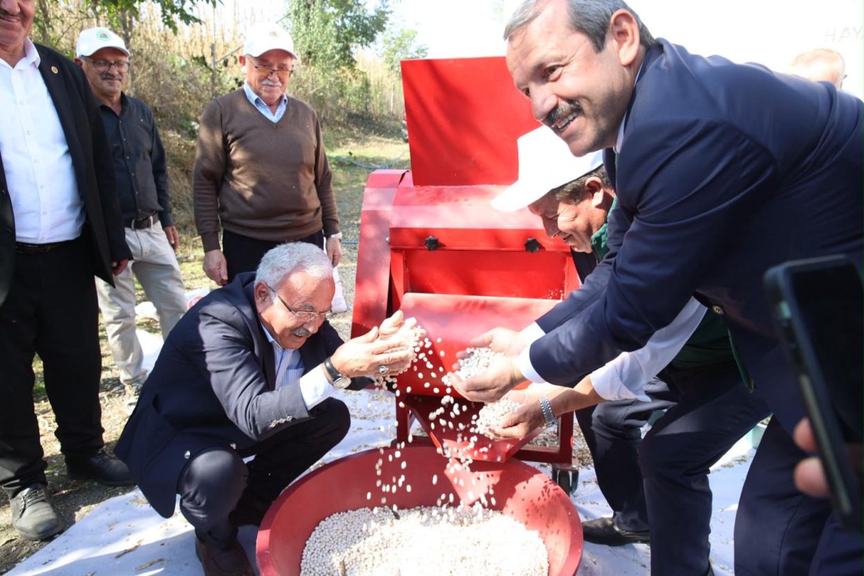 TÜRKİYE’NİN LEZZETİ AKKUŞ ŞEKER FASULYESİNİN HASADI BAŞLADI