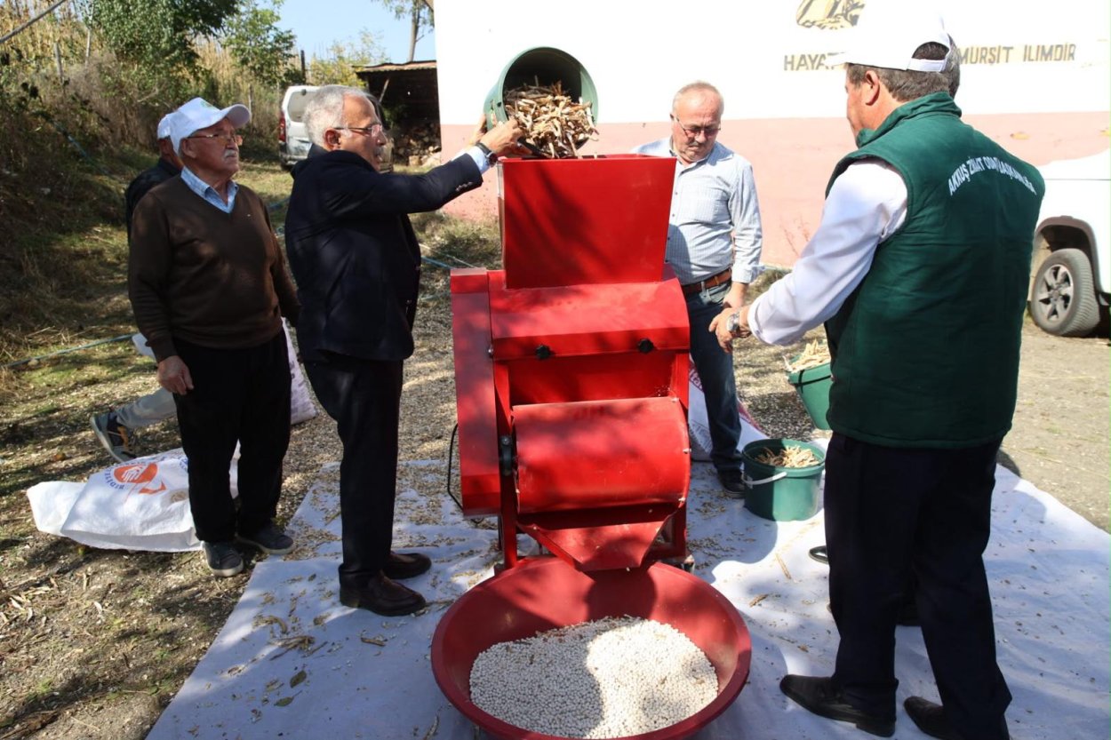 TÜRKİYE’NİN LEZZETİ AKKUŞ ŞEKER FASULYESİNİN HASADI BAŞLADI